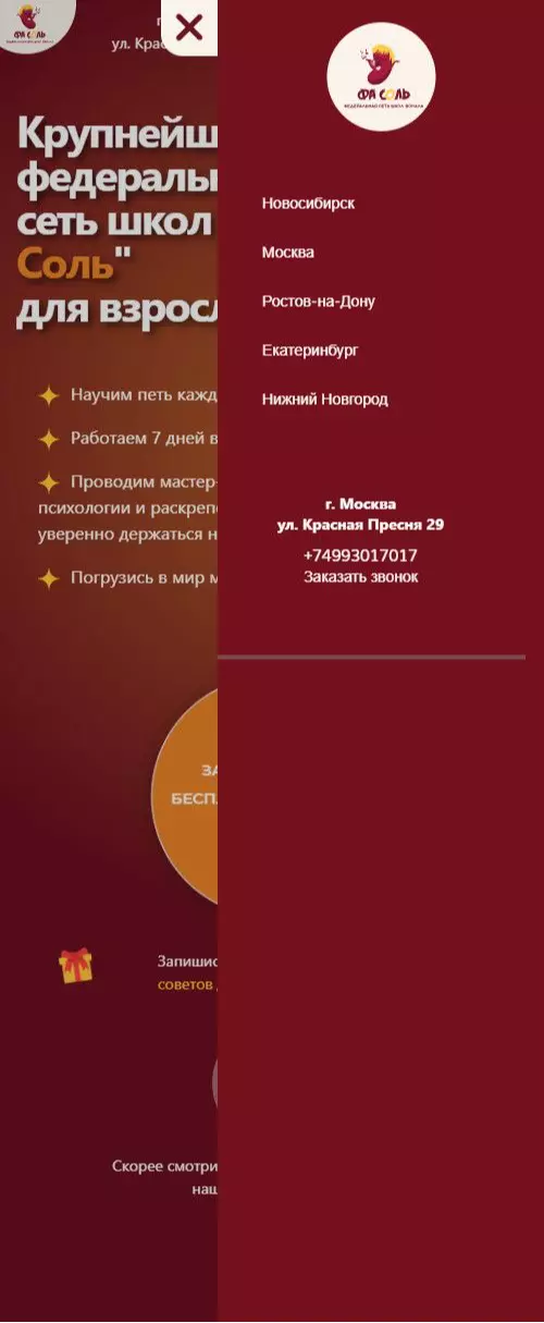 IT-genn Портфолио крупнейшая федеральная сеть школ вокала "Фа Соль" fasol-02 
