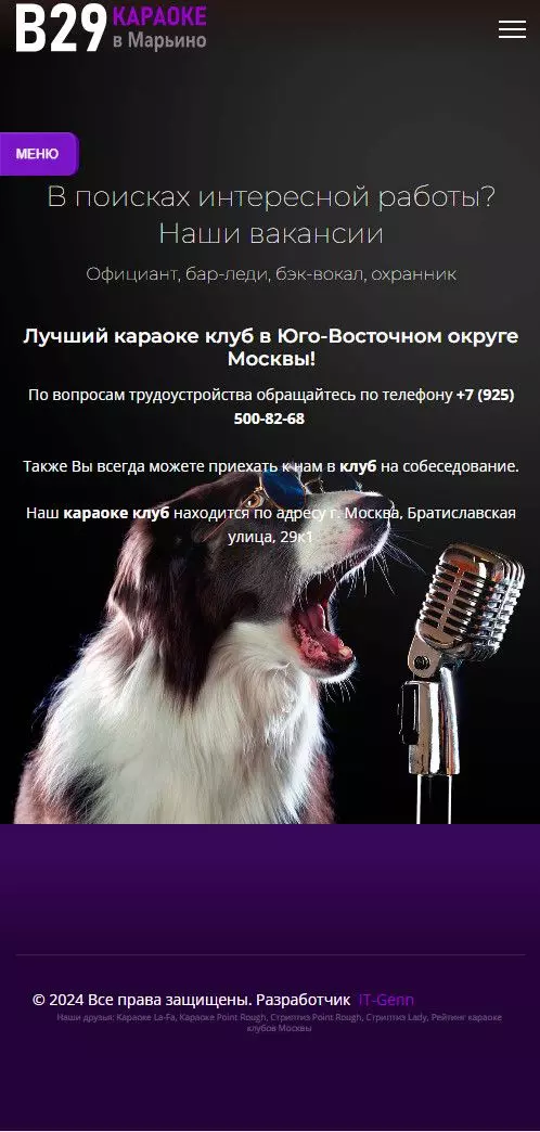 IT-genn Портфолио караоке клуб (бар) B29 в Марьино (Москва) karaoke-b29-02